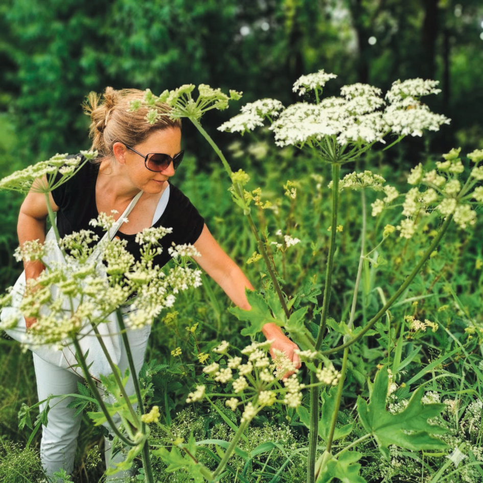 Dagmar Senn beim Blüten sammeln für Kräuterwohl