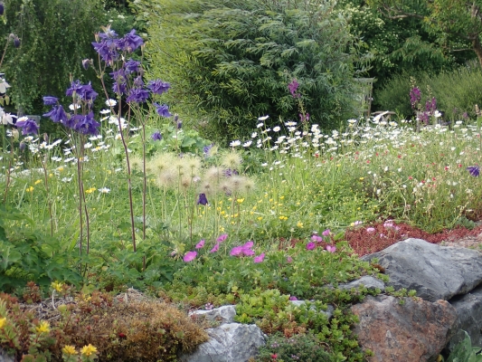 Naturgarten