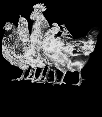 SOUNDKILLAZ EASTER-SPECIAL