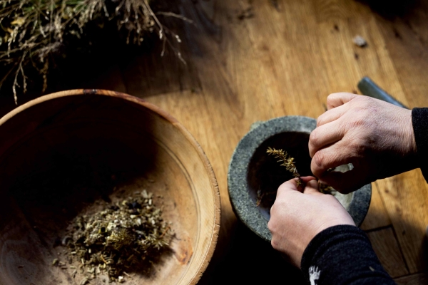 Kräuter mit Händen