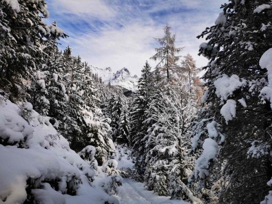 Gnadenwald, Winterbild