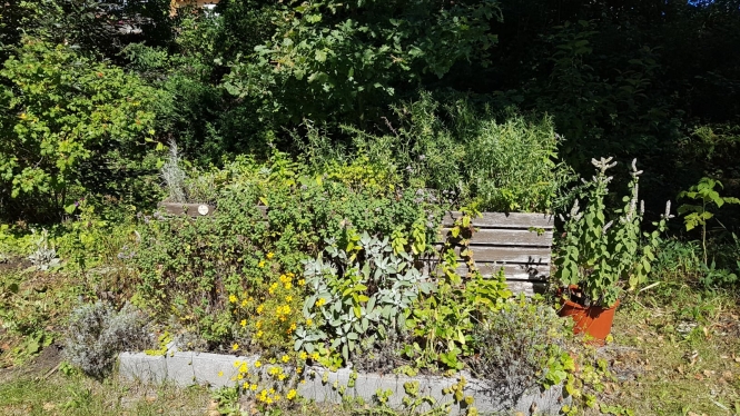 Kräutergarten