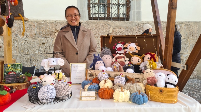 Haller Koffermarkt