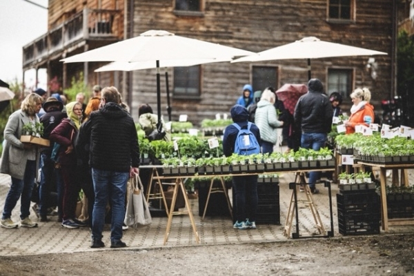 Gartli Pflanzenstand