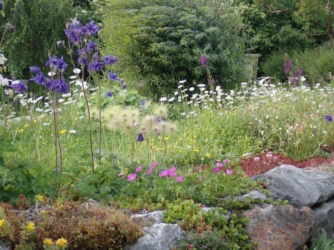 Naturgarten Meinen Garten naturnah gestalten - Lebensraum für Tiere, Pflanzen und Menschen