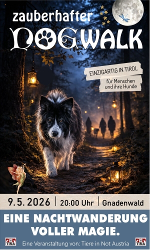 Zauberhafter Dogwalk