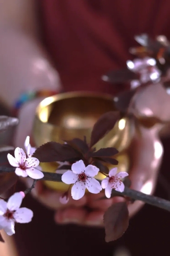 Breathwork Session "Lebenskraft aktivieren - Erwachen & Erneuerung im Frühling"