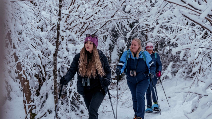 Nature Watch im Winter - Spuren im Schnee