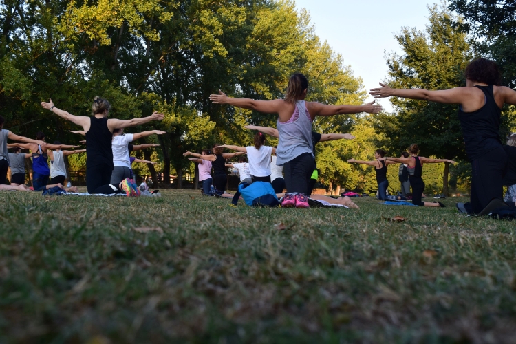 Yoga im Park Sundowner Vinyasa Flow im Hofratsgarten