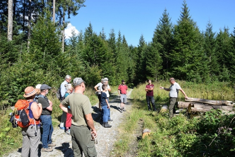 Führung im Oberinntal Wald der Zukunft - Kostenlose Führung bei Gnadenwald