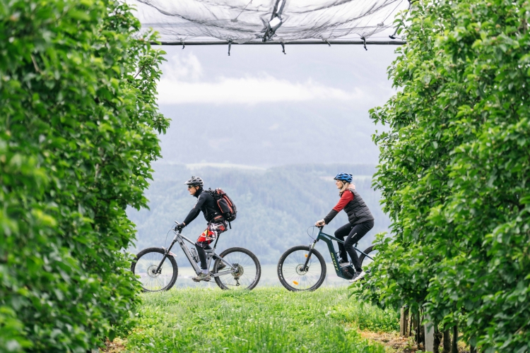 Kulinarische Radtour durch die Region
