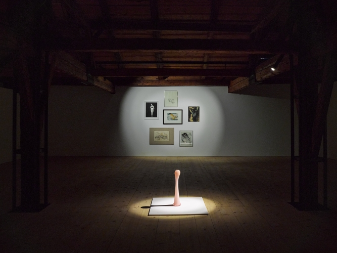 Dauerausstellung »Die Kunst des Sammelns - Spotlights«
