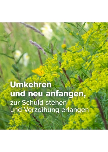 Das ungeliebte Sakrament / Buße und Versöhnung