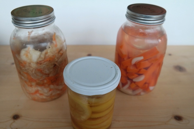 Fermentieren im Frühling mit frischen Wildkräutern