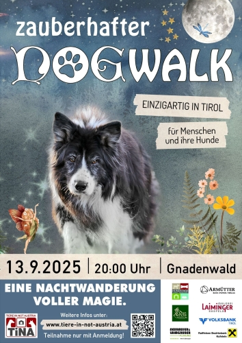 Zauberhafter Dogwalk Zauberhafter Dogwalk - Magische Nachtwanderung für Mensch und Hund